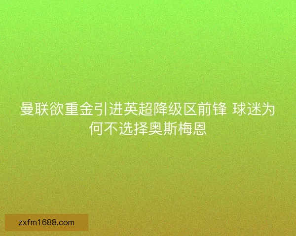 曼联欲重金引进英超降级区前锋 球迷为何不选择奥斯梅恩