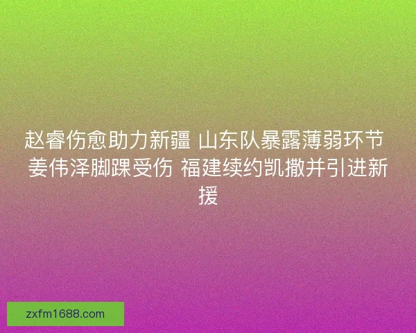 赵睿伤愈助力新疆 山东队暴露薄弱环节 姜伟泽脚踝受伤 福建续约凯撒并引进新援
