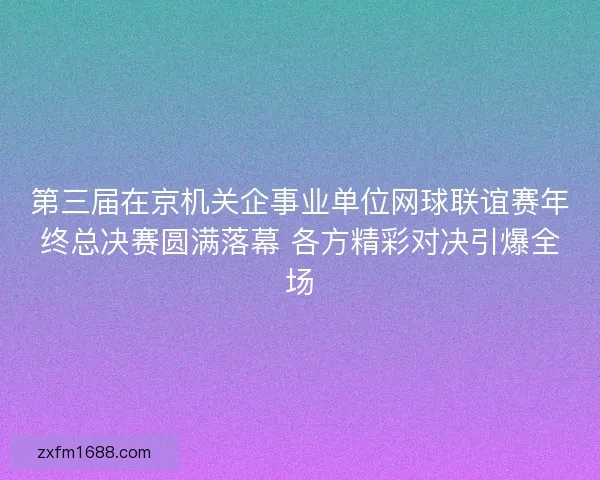 第三届在京机关企事业单位网球联谊赛年终总决赛圆满落幕 各方精彩对决引爆全场