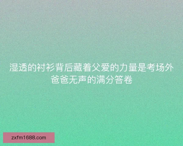 湿透的衬衫背后藏着父爱的力量是考场外爸爸无声的满分答卷 湿透的衬衫背后藏着父爱的力量是考场外爸爸无声的满分答卷