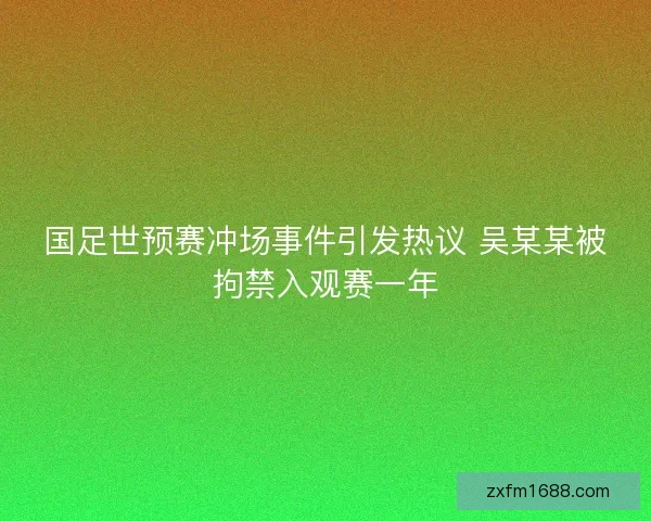 国足世预赛冲场事件引发热议 吴某某被拘禁入观赛一年